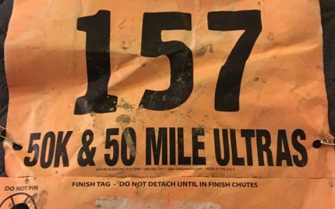 Finger Lakes 50 miler