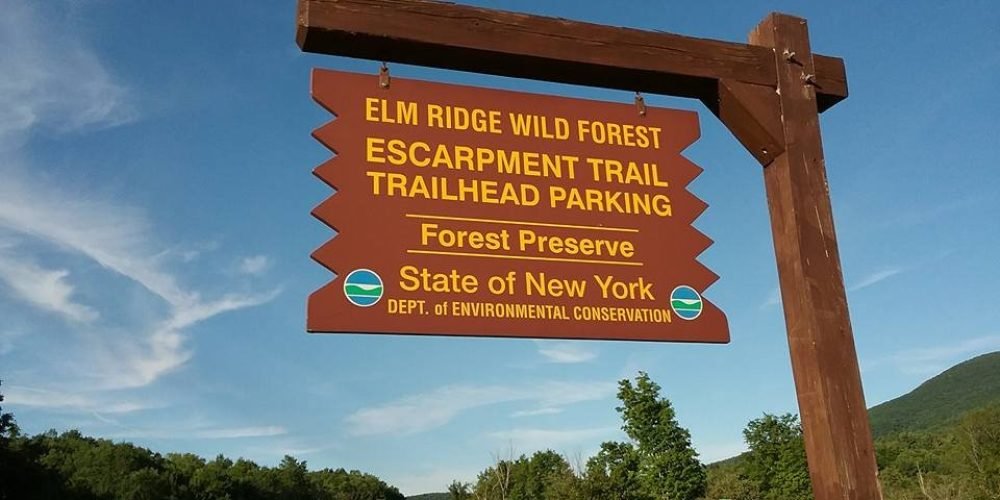 Escarpment Trail Run, 2017